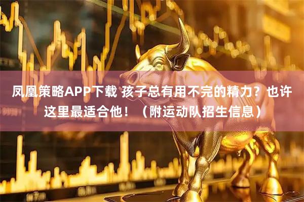 凤凰策略APP下载 孩子总有用不完的精力？也许这里最适合他！（附运动队招生信息）
