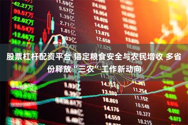 股票杠杆配资平台 锚定粮食安全与农民增收 多省份释放“三农”工作新动向