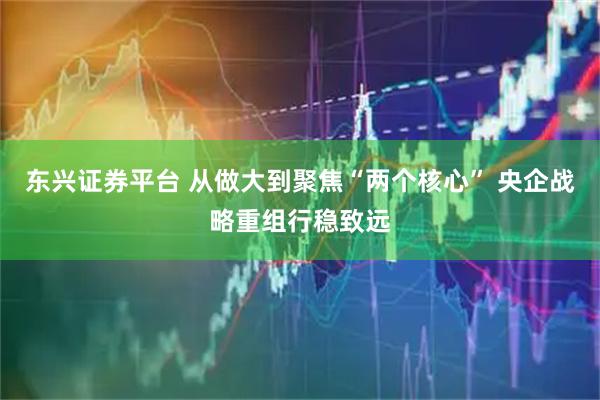 东兴证券平台 从做大到聚焦“两个核心” 央企战略重组行稳致远